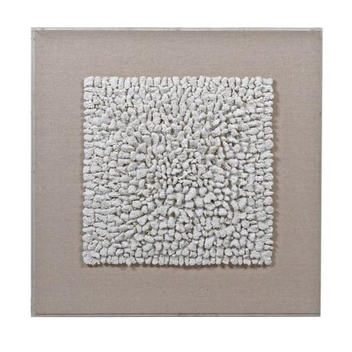 Coral Detailed Wall Art